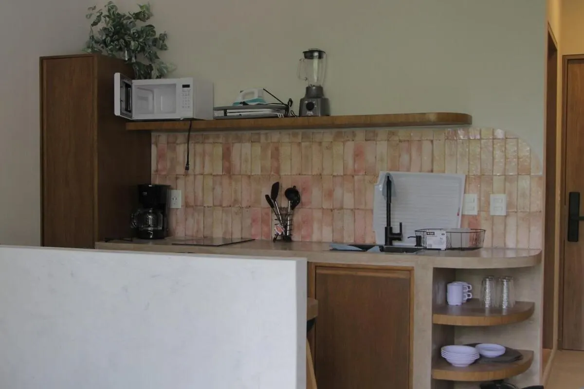 Minimalist Terracota Chapu Apartment Guadalajara
